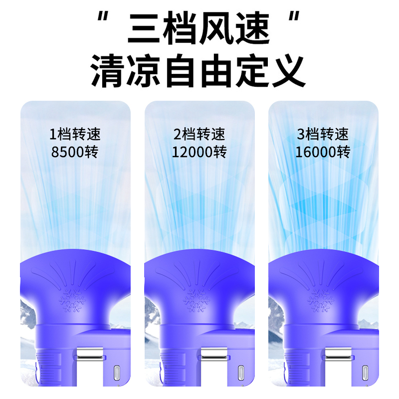 8ed836a9-88f3-4b6f-8d7e-56d3bcb1e234.jpg